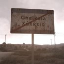 도그허니 이미지