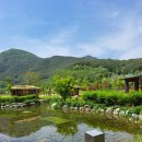 사계절계곡수체험장 이미지