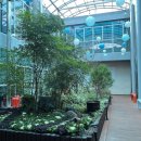 여주시보건소 이미지