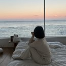 신비호텔 | [동해/묵호] 오션뷰 감성숙소 신비호텔 3F 파노라마룸 숙박후기