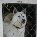 대산실업 이미지