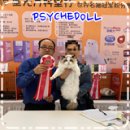 랙돌캐터리파이널돌 이미지