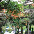 부천중앙공원 이미지