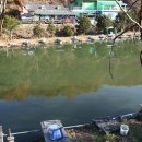 비학농원 캠핑장 이미지