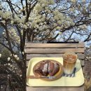 목련시장 | 대구 목련카페 꽃놀이 시지감성카페 초코바게트 켑트베이커스 3.26방문후기