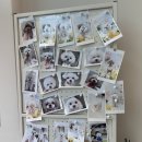 까까뿌숑 이미지