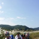 낙동강자전거길3 이미지