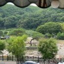 비비아나 펜션 이미지