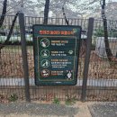 대공원충전소 | 소형견, 대형견 방문하기 좋은 어린이대공원 반려견놀이터 후기 (위치,입장방법)