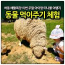 하동 해뜰목장 준비물 두돌 아이랑 동물 먹이주기 체험 주말 가볼만한곳 당근만 사기