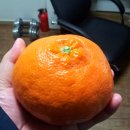 동환농장 이미지