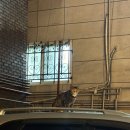 갈매 영등포구청역점 이미지