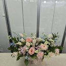 김기필꽃식물원