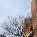 아이컬렉션 위드렌즈 연제구청점 이미지