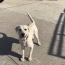 부일농장 이미지