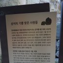 산청 동의한방촌 약선관(2015.4.11 토요일) 이미지