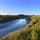 갯골생태공원 이미지