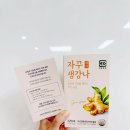 자꾸생강나 생강스틱 추천 후기, 안동 생강과 국산 꿀로 만든 하루 한 포 루틴