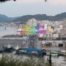 바다나무 민박 이미지