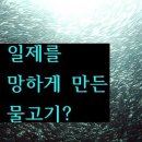 편하게 듣는 오디오북 세계사 책읽기, 일제는 물고기 때문에 망했다? 이미지