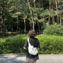 가벼운 나일론 크로스백 찾는다면? 듀오바오 아이보리 가방 후기 공개