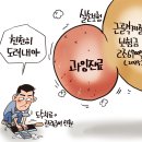 1140 한국보험신문