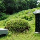 정일당강씨묘 이미지