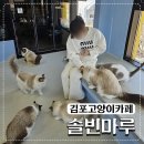 솔빈마루 네이버블로그