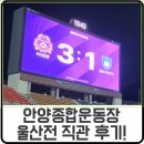 부여종합운동장 | 35R 안양종합운동장 직관 후기! FC안양 vs 울산 HD