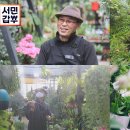 라이프더화원 이미지