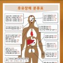 후유 이미지