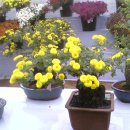 동래원예고등학교 이미지