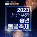 거제송년불꽃축제 이미지