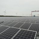 뿌리 태양광발전소 이미지