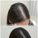 스테이 무아 이미지