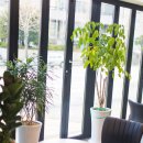 범천2동-15 이미지