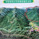 청태산 이미지