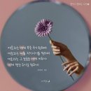 꽃이피는시간 이미지