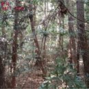 서호동-29 이미지