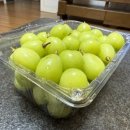 샤인민박 이미지