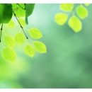 차앤박헤어 이미지