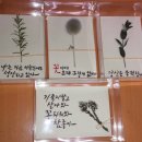 제이플라워팜