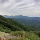 단양구경시장3 이미지