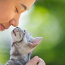 대경동물병원 이미지