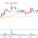 동국밧데리자동차 이미지