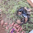 드림디포충주점 이미지