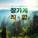 너랑나랑여행사