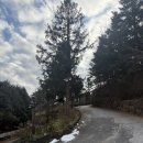 펜션허브 | [연천] 연천 숙소 추천 허브빌리지 펜션 솔직후기