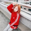 어울령