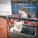 체인지빨래방 이미지